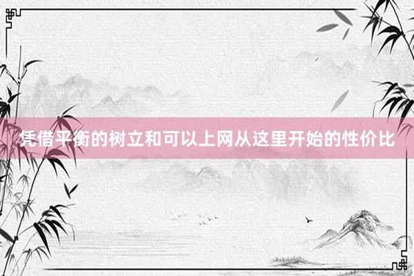 凭借平衡的树立和可以上网从这里开始的性价比