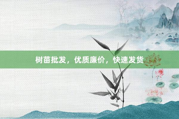 树苗批发，优质廉价，快速发货