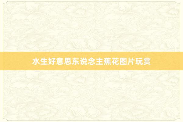 水生好意思东说念主蕉花图片玩赏