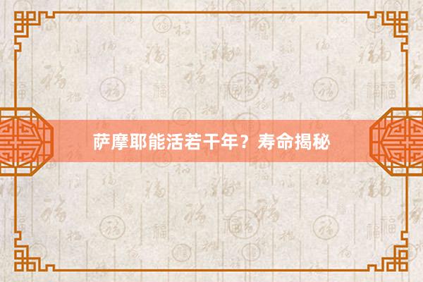 萨摩耶能活若干年？寿命揭秘