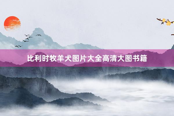 比利时牧羊犬图片大全高清大图书籍