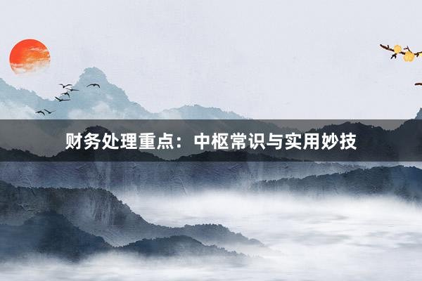财务处理重点：中枢常识与实用妙技